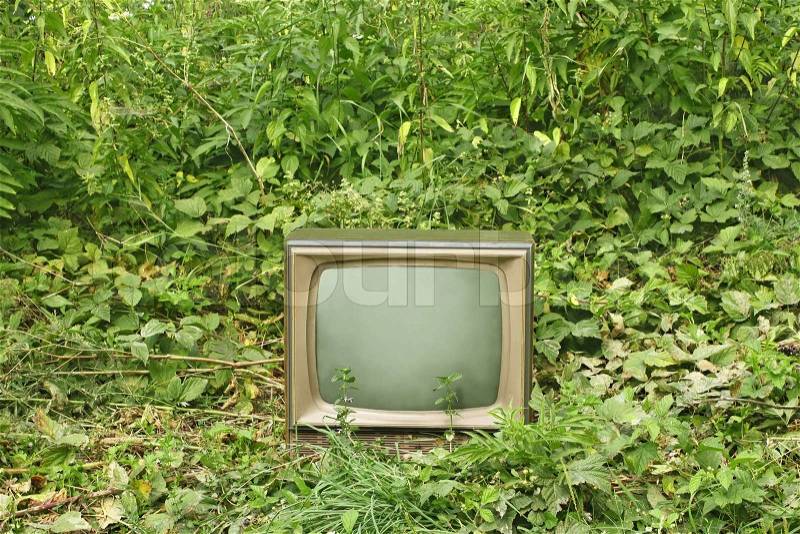 Old outmoded TV set in an environment of various green plants, stock photo