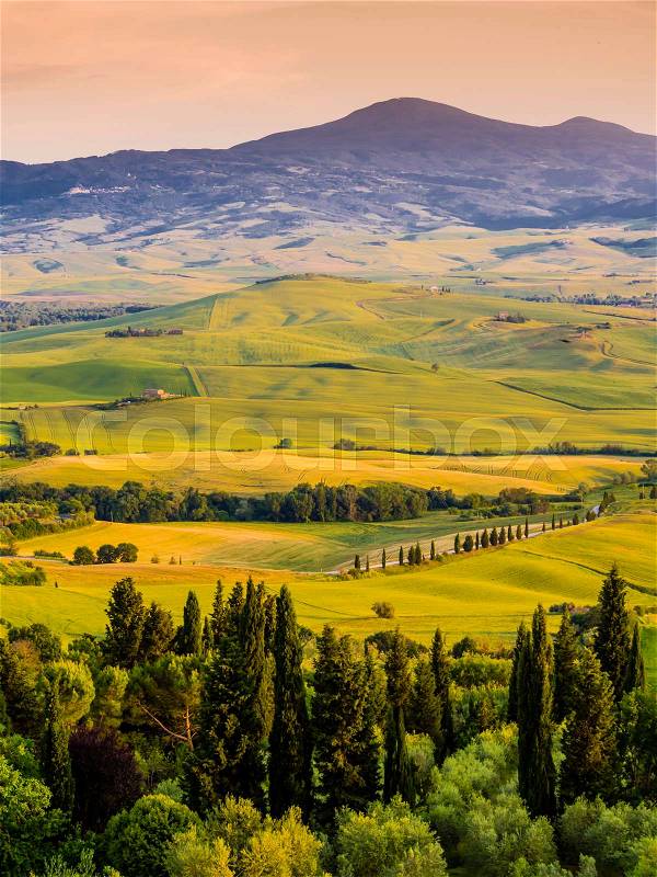 Charming tuscan landscape at dusk, with rolling hills and rows of cypresses, stock photo
