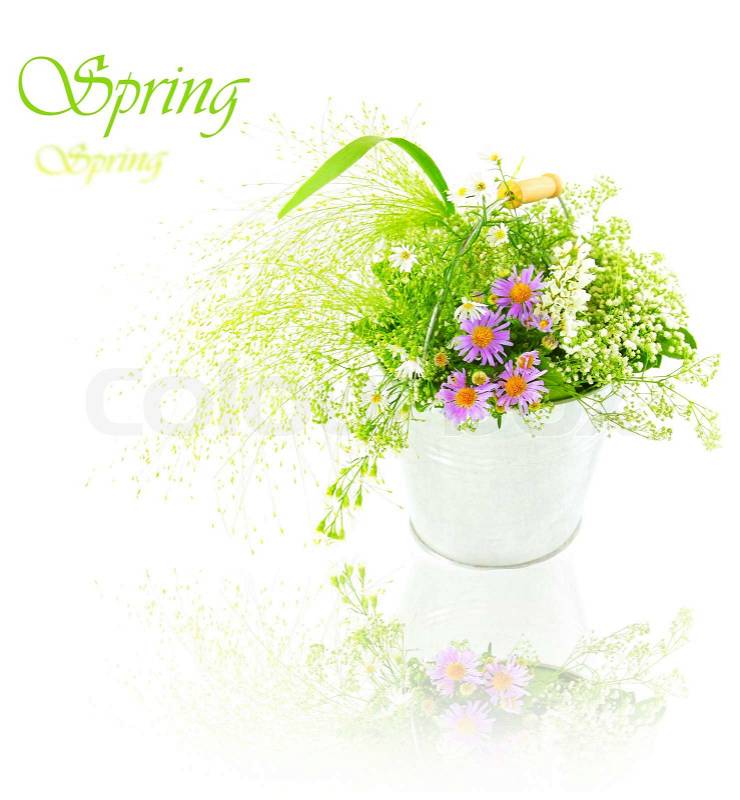 Bucket of spring fresh wild flowers isolated on white background, stock photo