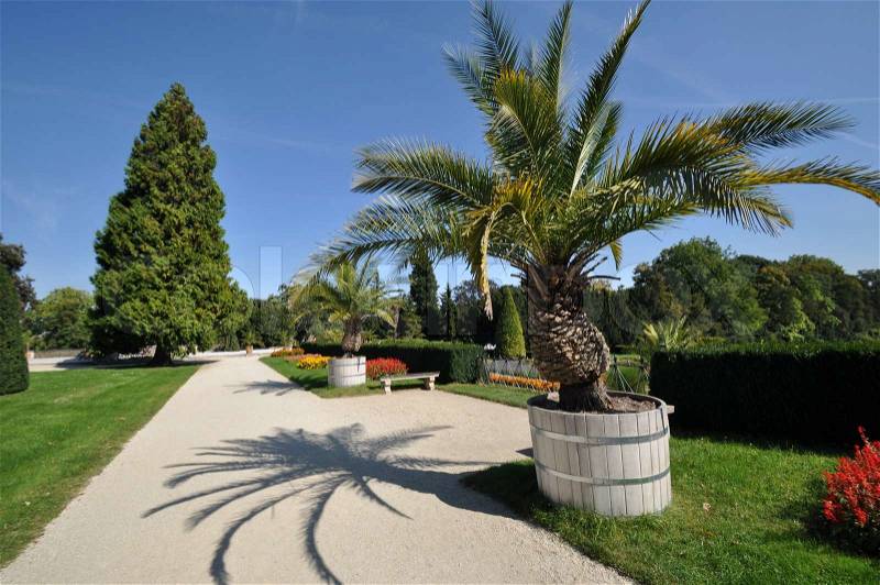 Palm walk in the valtice castle garden, stock photo
