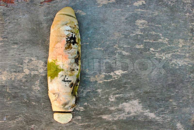 The old white mold on the bread. Spoiled food. Mold on food, stock photo