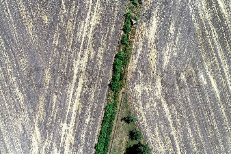 Abstract aerial view of the pointed end of a fishing pond with a row of trees next to harvested farmland, stock photo