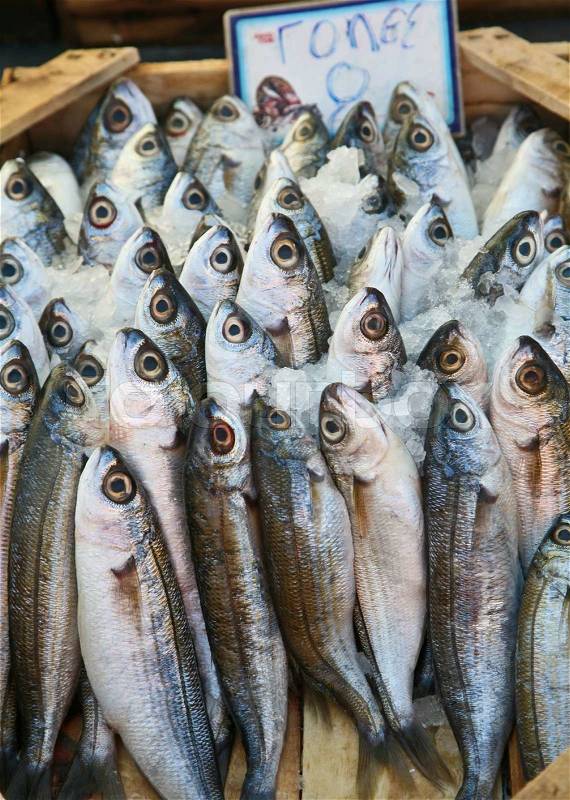 Fish market, stock photo