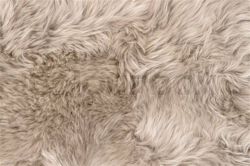 Natural sheepskin rug background. Wool texture. Close up sheep fur, stock photo