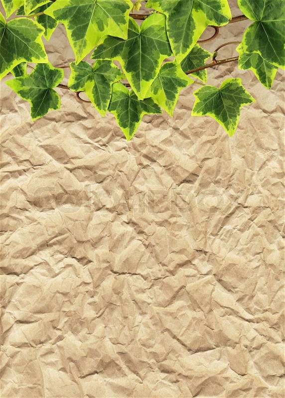 Crumpled paper and border made of green ivy leaves with clipping path, stock photo