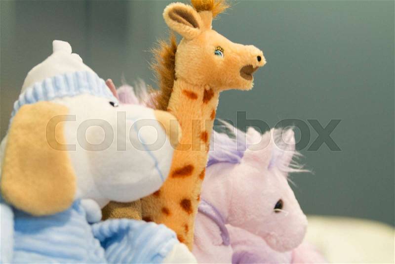 Stuffed toy animals, stock photo