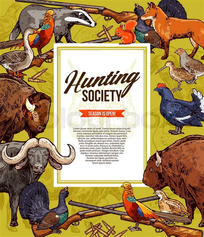Hunting season wild animals, birds and hunter gun sketches. Buffalo, fox and pheasant, lynx, ox and bison, quail, badger and squirrel, goose, partridge and grouse, ..., vector
