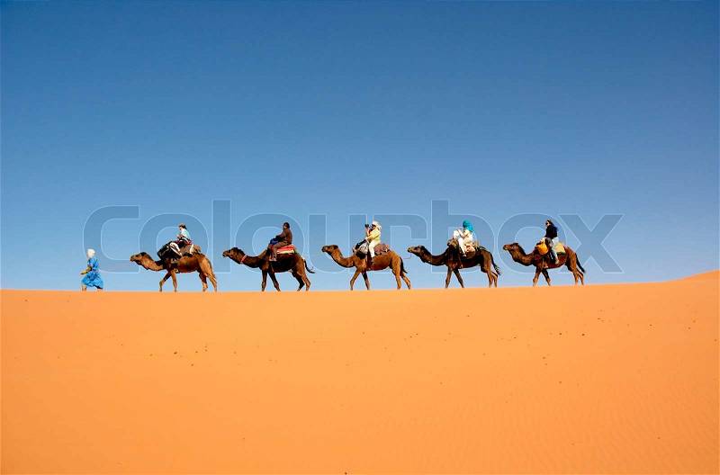 Desert caravan, stock photo