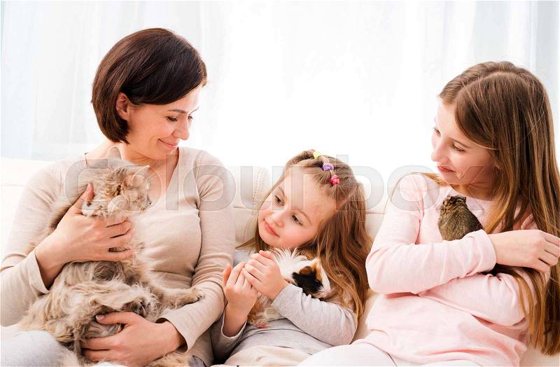 Mother and two little daughters holding their favorite pets on hands. Children playing with guinea pig, cat and degu squirrel while sitting on the soft sofa at home, stock photo