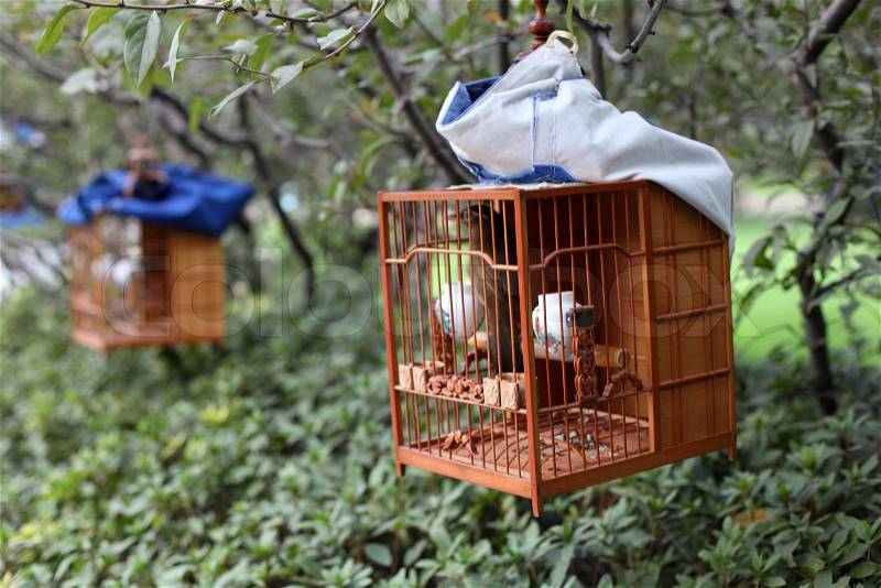 Songbird in cage Shanghai People's Square Park, China, stock photo