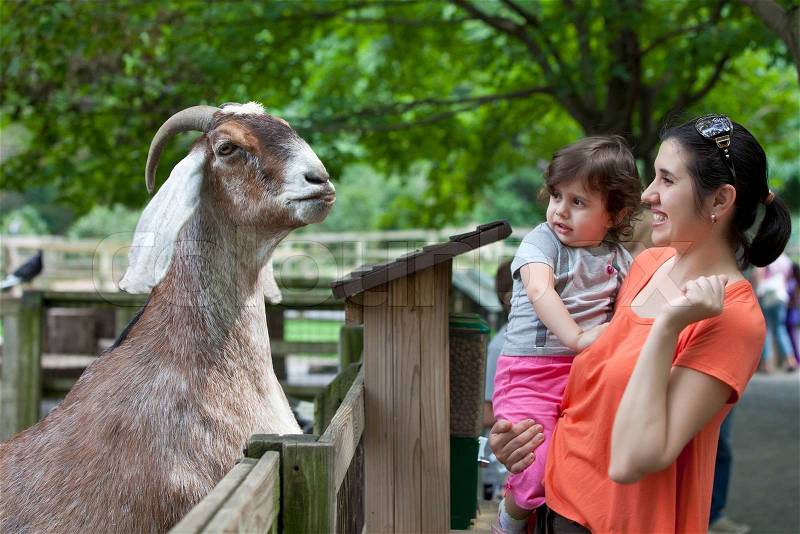 Petting Zoo. Mother and daughter in Zoo, stock photo