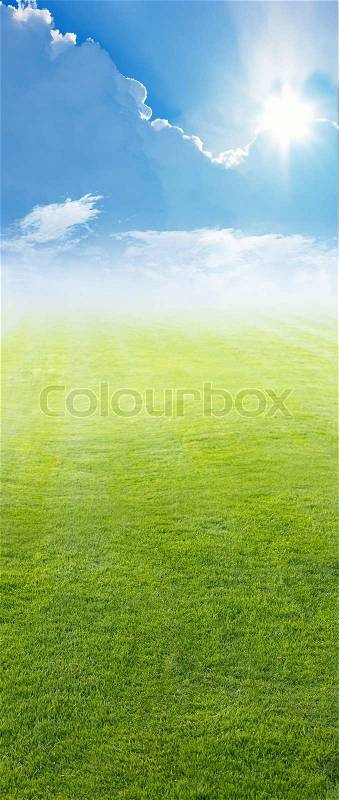 Beautiful vertical background - green field, blue sky, white clouds, bright sun, stock photo