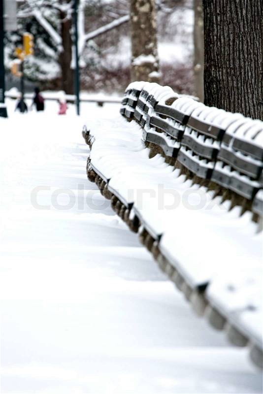 Snow covered benches in Central Park, stock photo