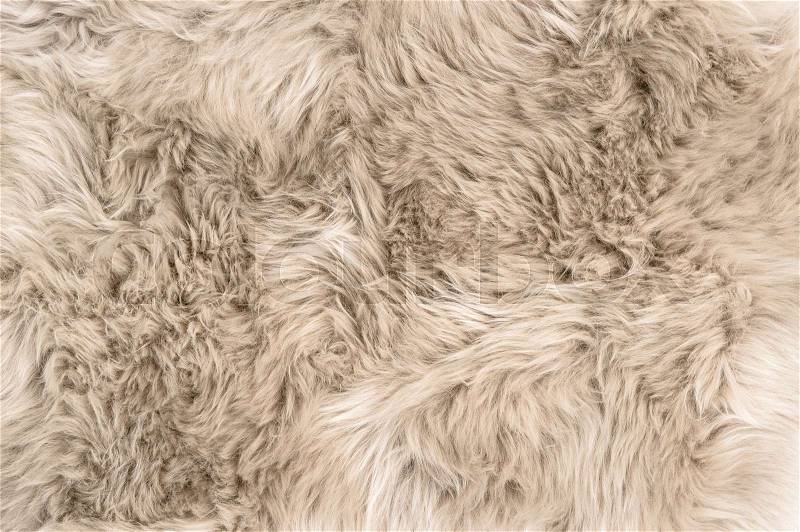 Sheep fur. Natural sheepskin rug background. Wool texture, stock photo