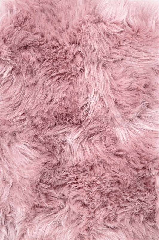 Sheep fur. Pink sheepskin rug background. Wool texture, stock photo
