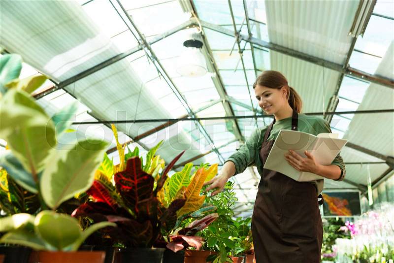 Image of young woman gardener studying or checking plants in conservatory, with register in hands, stock photo