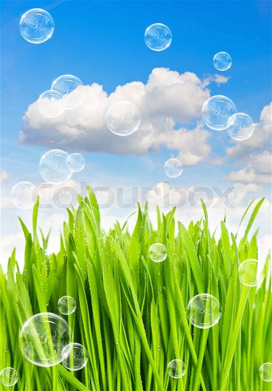 Bubbles and fresh green grass against blue sky, stock photo