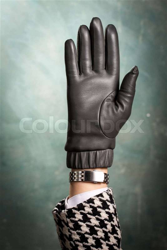Female hand in a beautiful leather glove, stock photo