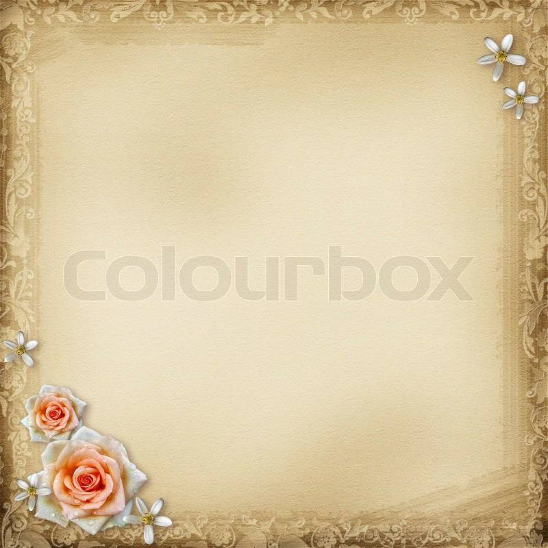 Ancient photo album page background withoval frame and rose, stock photo