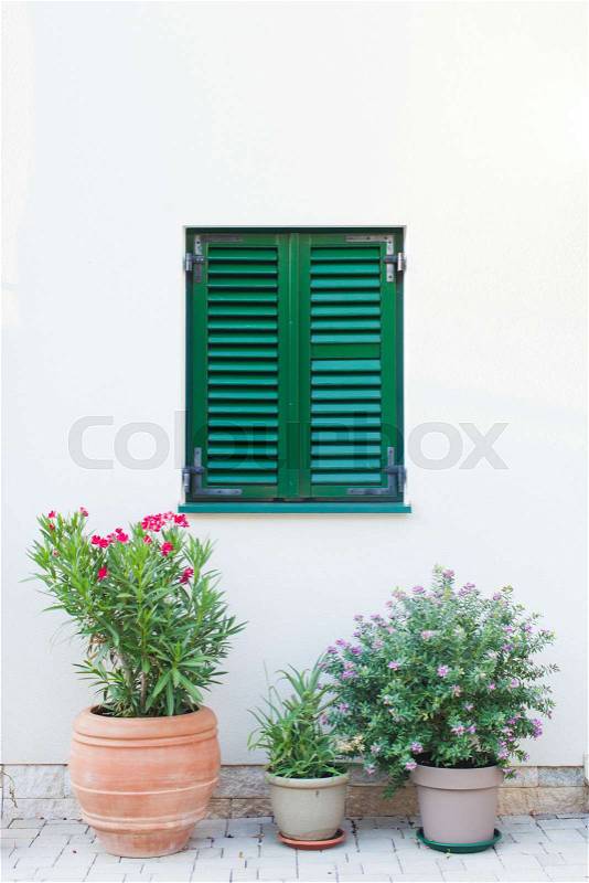 Window with closed green shut ups and flowers in ceramic pots on a ground. Close view of potted flowers standing under closed window in an old european rustic style ..., stock photo