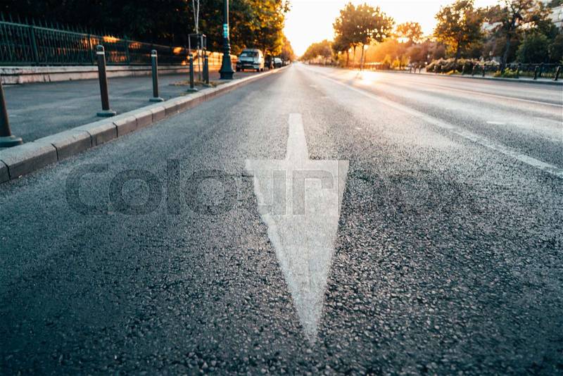 Arrow signs as road markings on a street, early morning, stock photo