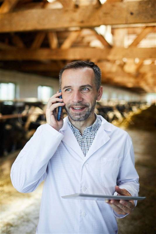 Waist up portrait of mature farm worker speaking by phone standing in cow shed while working at modern dairy farm, stock photo
