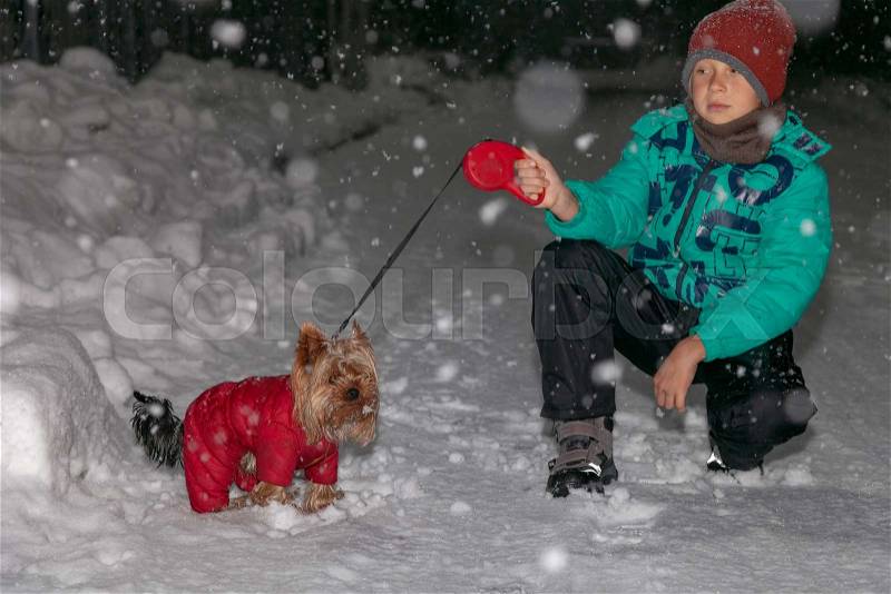 Boy walks with the dog in winter at night during heavy snow, stock photo