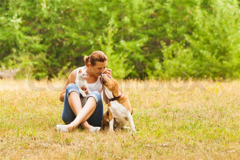 Attractive female animal lover sitting in a summer field with white cat on her knees, kissing beagle dog into his nose. Green forest on a background. Happy pet ..., stock photo