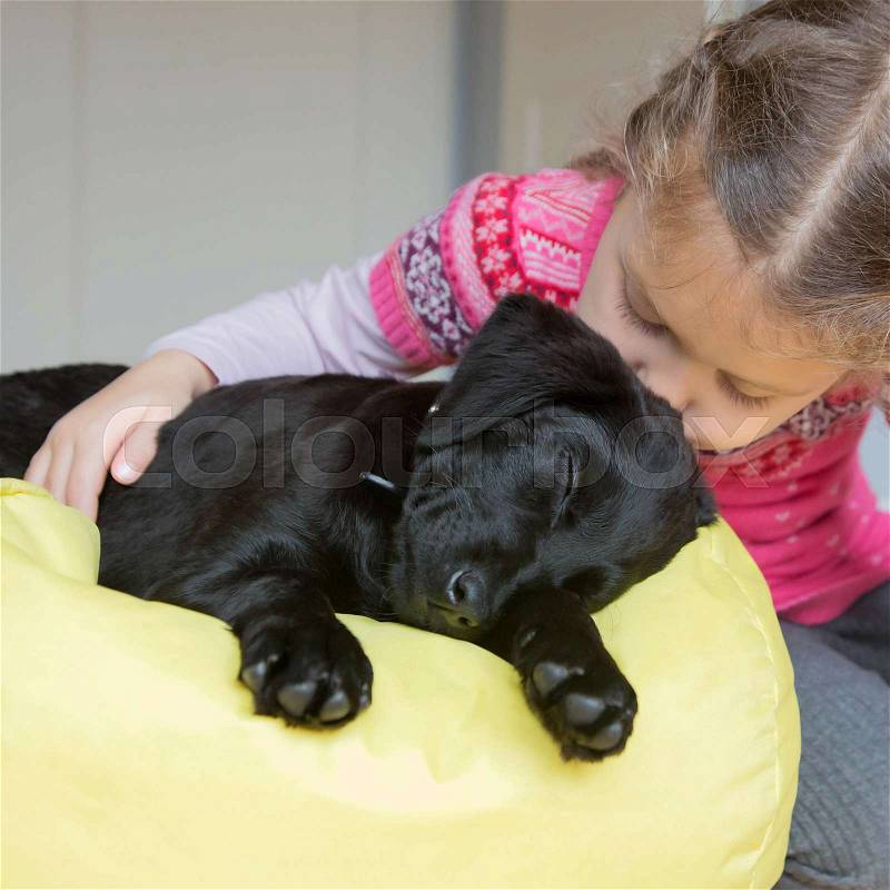 Child and puppy kiss. Animal care concept. Pet dog labrador and little girl love each other and play together. Dog man\'s best friend, stock photo
