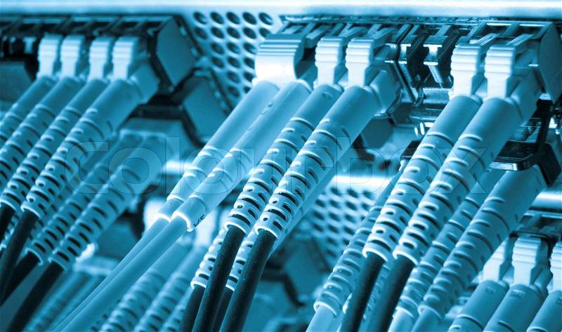 Network cables, stock photo