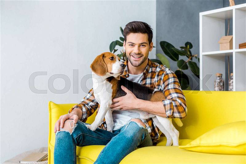 Handsome smiling man sitting on sofa with beagle dog , stock photo