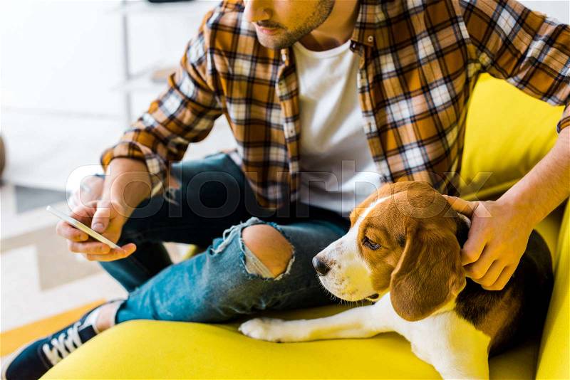 Cropped view of man using smartphone while sitting on sofa with cute dog, stock photo