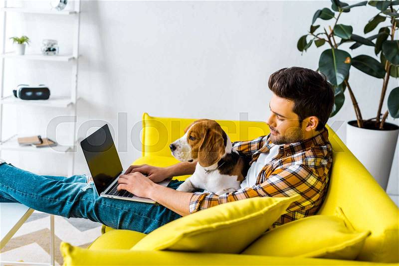 Handsome man using laptop on yellow sofa with beagle dog, stock photo