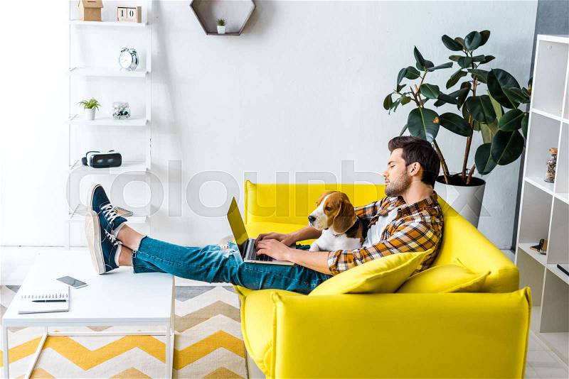 Handsome man using laptop on yellow sofa with beagle dog in living room, stock photo