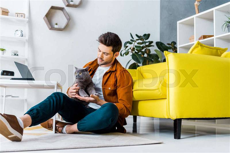 Handsome man with british shorthair cat sitting on floor in living room, stock photo