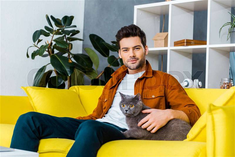 Handsome smiling man with british shorthair cat sitting on sofa in living room, stock photo