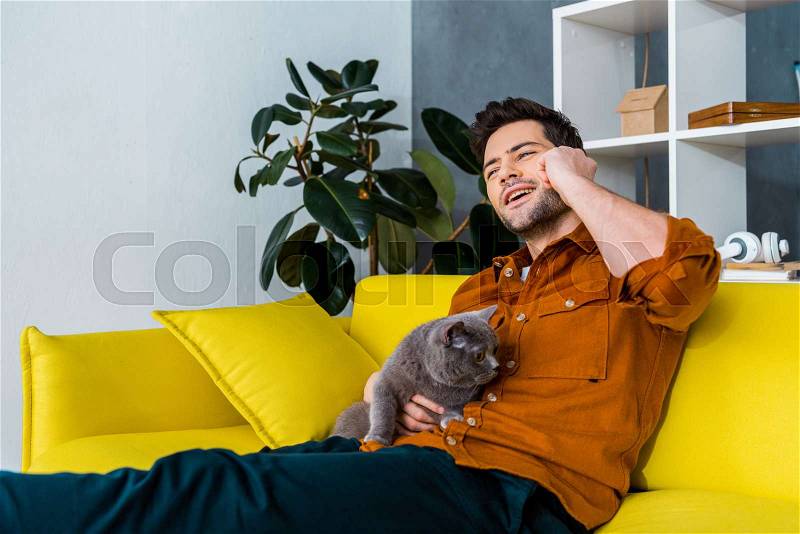 Cheerful man talking on smartphone on sofa with grey cat, stock photo