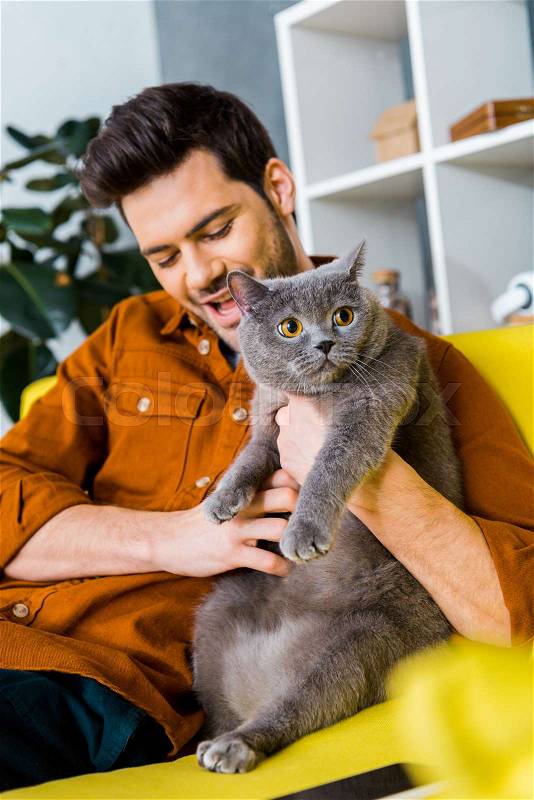 Cheerful handsome man with grey cat sitting on sofa at home, stock photo