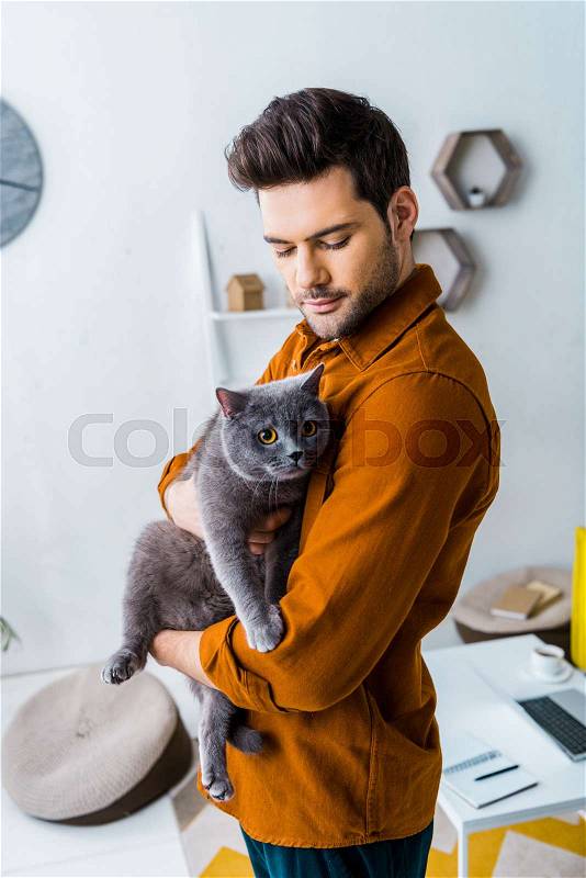 Casual smiling man holding british shorthair cat, stock photo