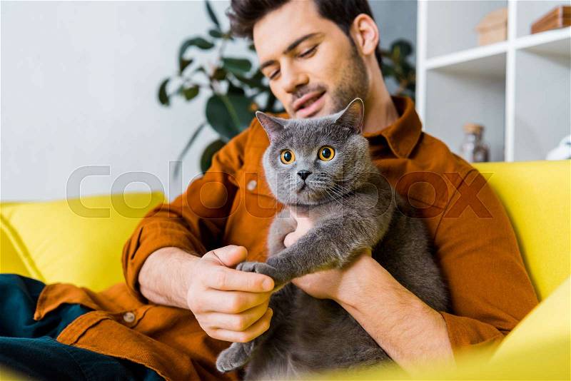Casual smiling man with british shorthair cat sitting on sofa at home, stock photo
