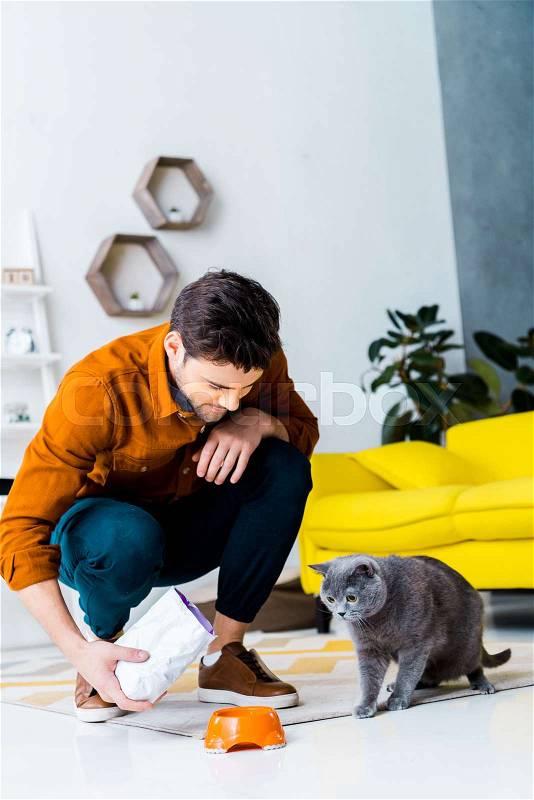 Handsome man feeding grey british shorthair cat in living room, stock photo