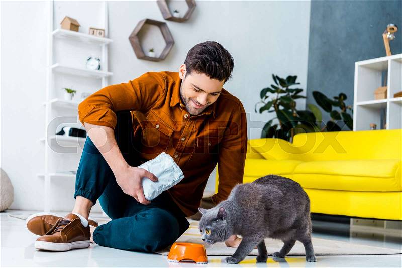 Happy young man feeding grey british shorthair cat at home, stock photo