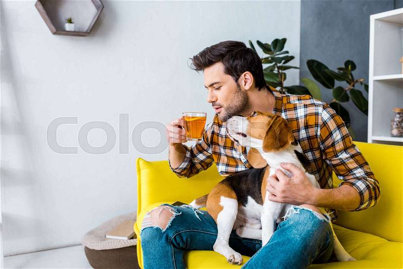 Casual man drinking tea and sitting on sofa with cute dog , stock photo