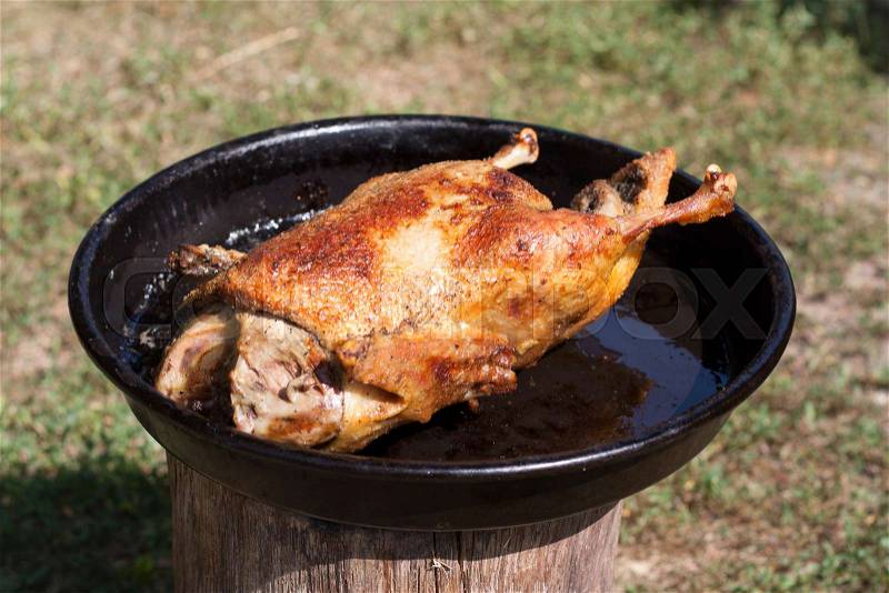 Roasted duck chicken with crispy skin photo, stock photo