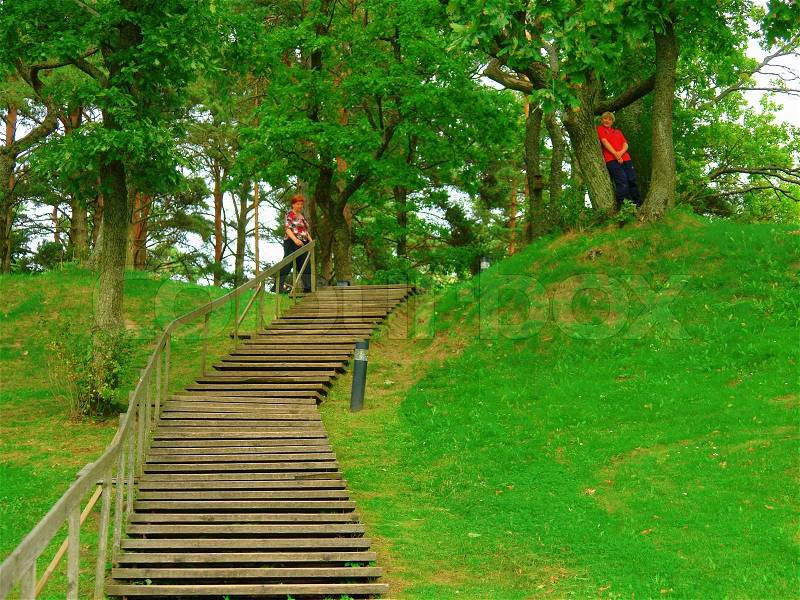 Wood stairs in a park, stock photo