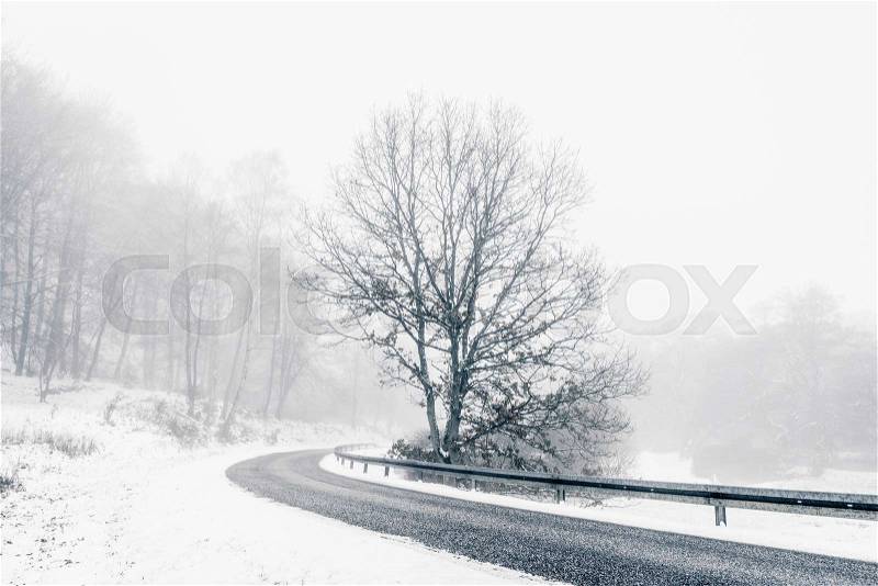 Lonely tree in a highway curve in the winter with snow and misty weather conditions, stock photo