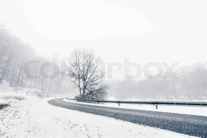Curvy highway in a misty winter landscape with a tree and snow by the roadside, stock photo