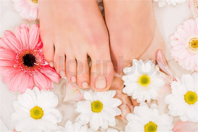 Top view of female feet in water with flowers , stock photo