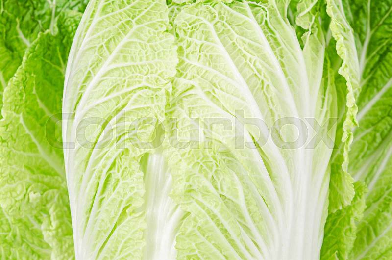 Close up texture fresh chinese cabbage as background, stock photo