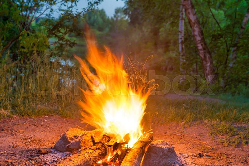 Bonfire near water in forest at night, stock photo